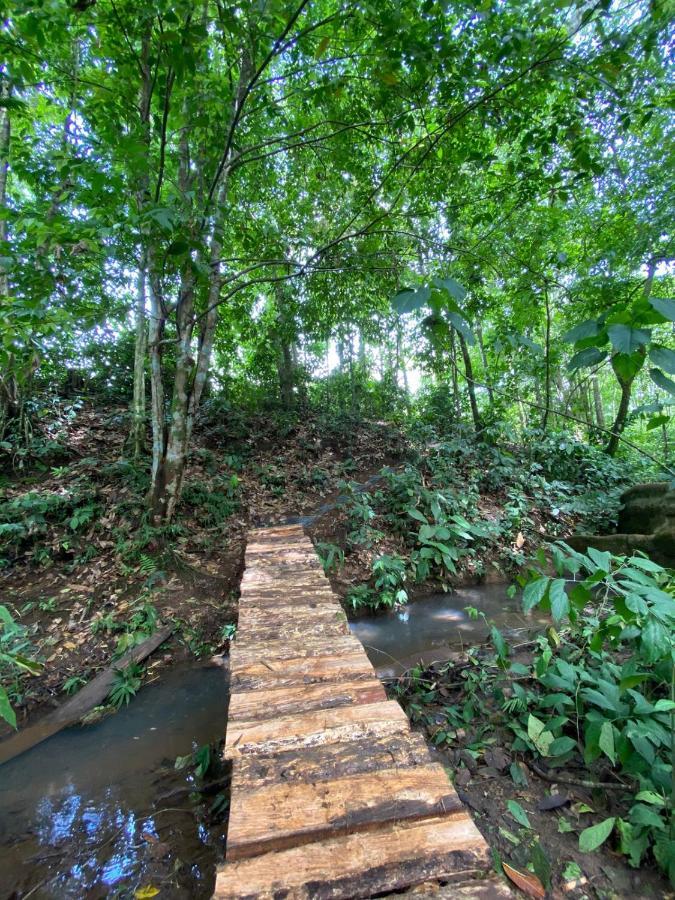 Gambas Lodge La Fortuna 외부 사진