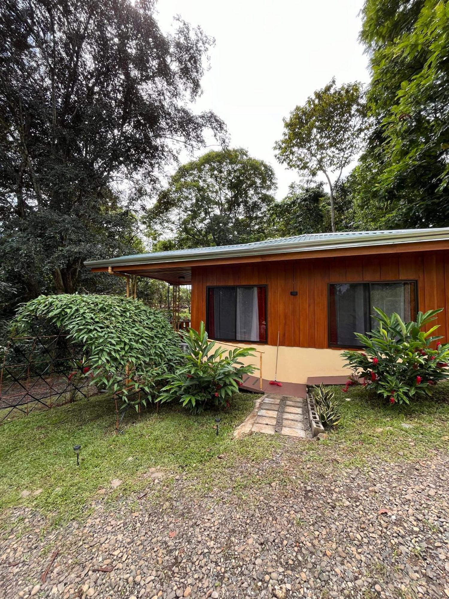 Gambas Lodge La Fortuna 외부 사진