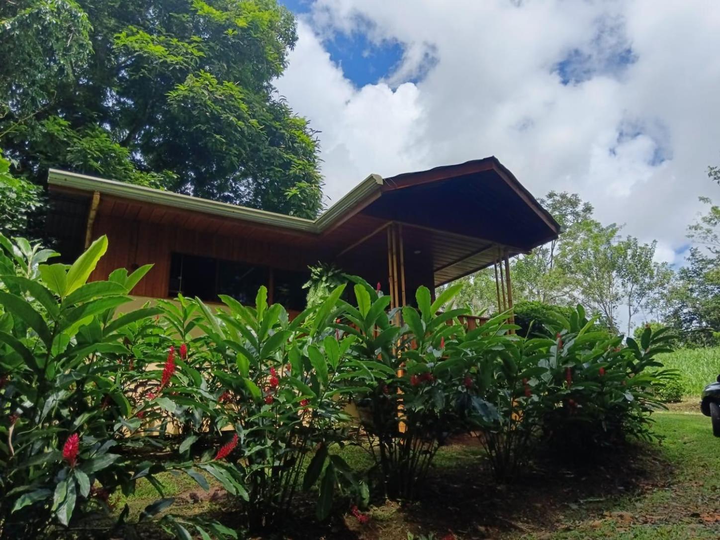 Gambas Lodge La Fortuna 외부 사진